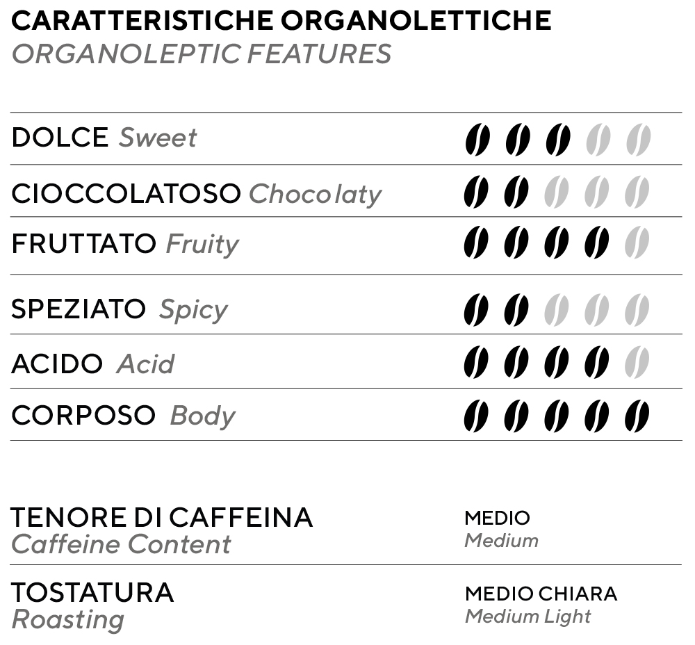 BEANS ORGANIC COFFEE MOKASIRS
