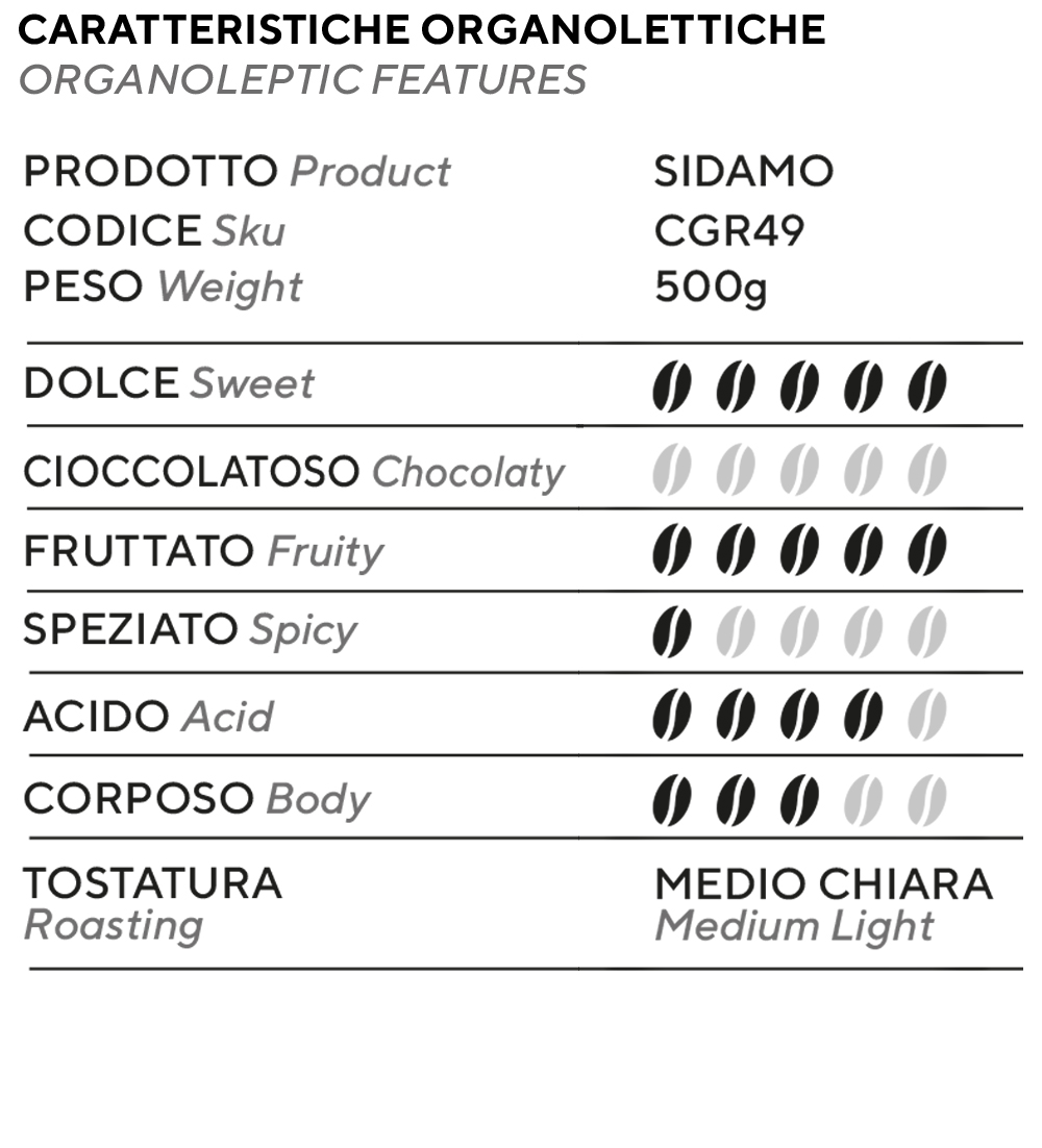 SINGLE-ORIGIN SIDAMO, ETHIOPIA